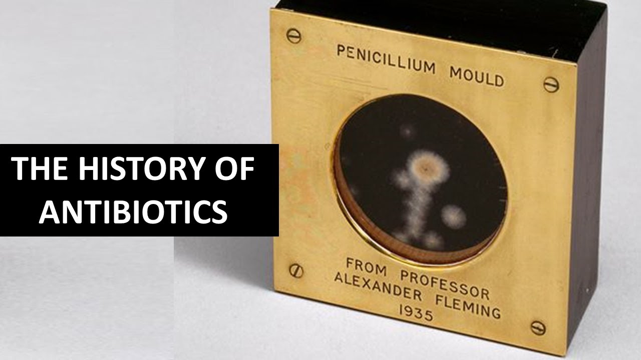 A Brief History of Antibiotics