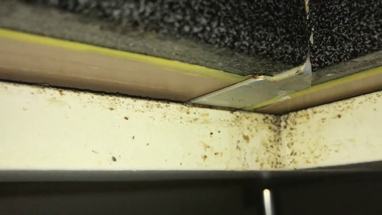Cockroach Pest Control  - Affordable Pest Control Toronto | Get Free Pest Inspection