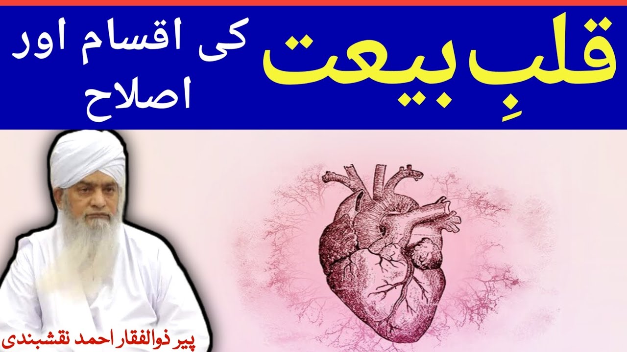 Qalb e Bait Ki Aqsam Aur Islah ● قلب بیعت کی اقسام اور اصلاح ● Peer Zulfiqar Ahmad Naqshbandi