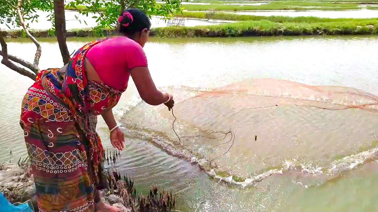 Cast Net Fishing||Village Amazing Woman Catching Fish With A Cast Net.(Part:98)