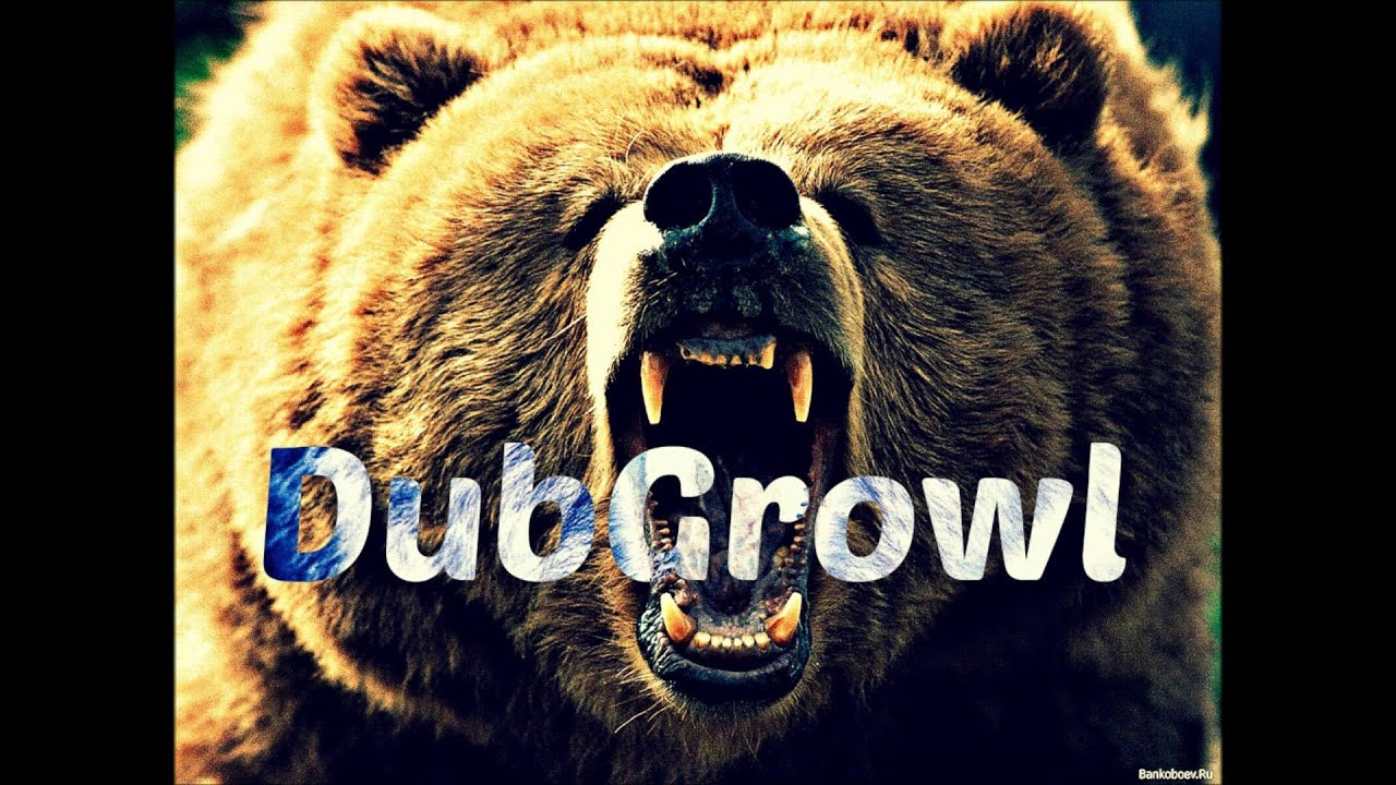 Dubgrowl - Dubstep mix