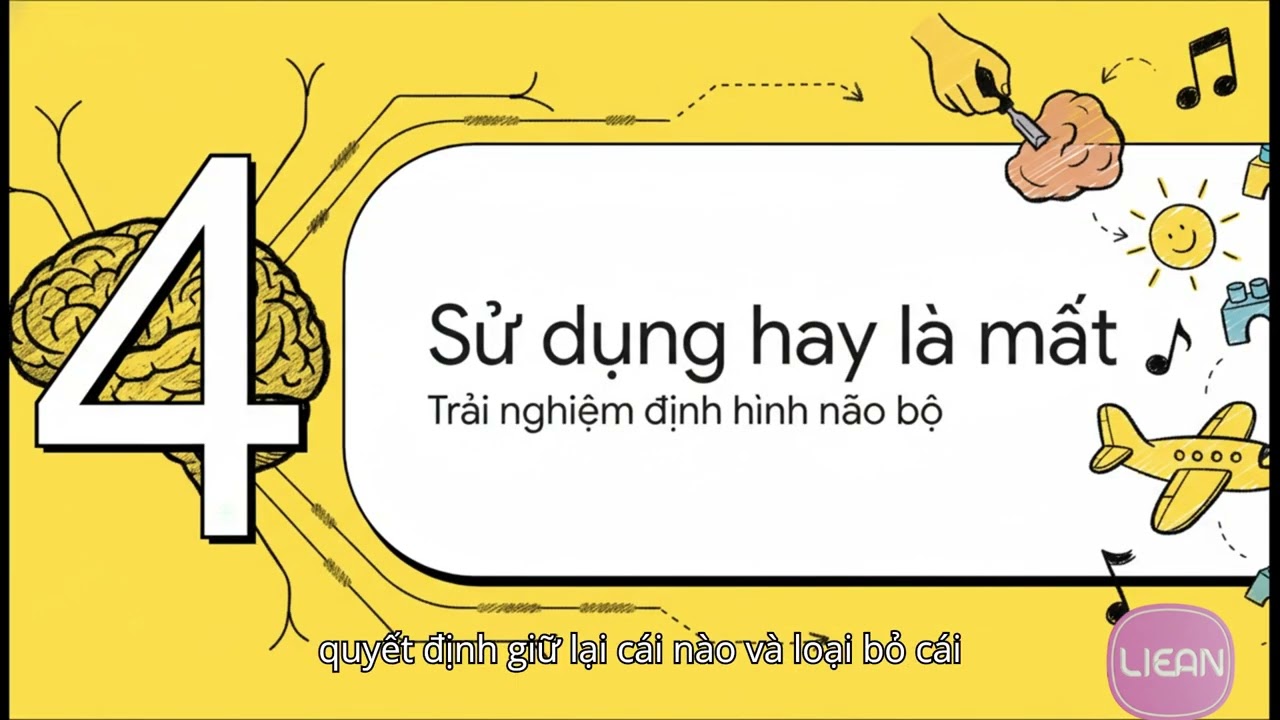 🧠 HÀNH TRÌNH KỲ DIỆU CỦA BỘ NÃO: TỪ MỘT TẾ BÀO ĐẾN MỘT TÂM TRÍ HOÀN CHỈNH (Going on Chap 2)