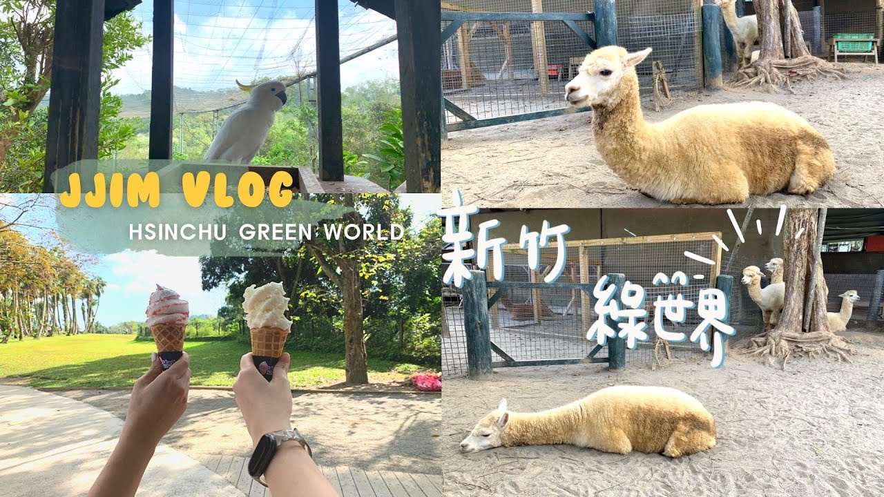 ╭郊遊vlog╮新竹人放假可以去哪?路跑完也要去➜北埔綠世界生態農場no.1草泥馬(羊駝)/新竹景點/踏青😂的休假日