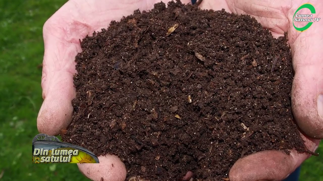 Cum să-ți faci propriul compost - prof. univ. dr. Florin Stănică