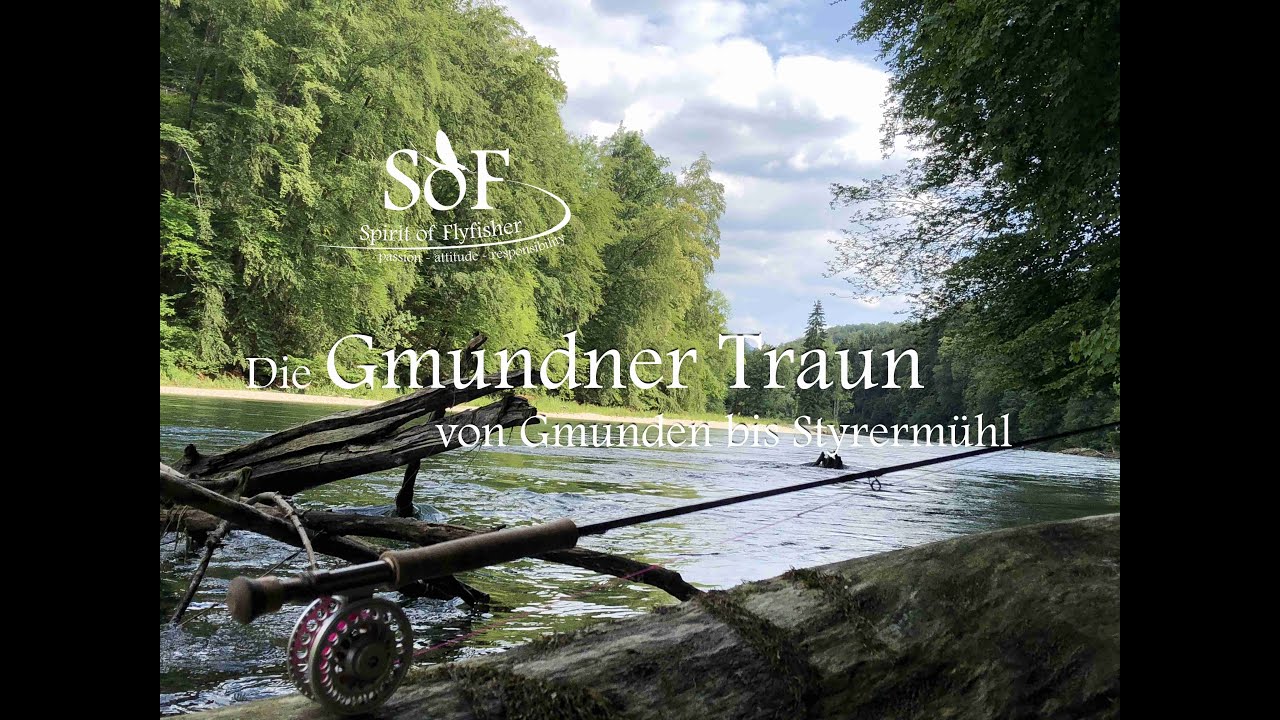 SoF - Gmundner Traun Fliegenfischen