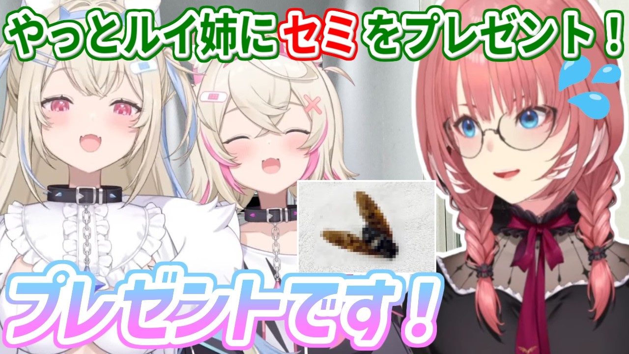 ルイ姉がホロメン私物オークションで落札した２人のお友達(セミ)を、ようやく渡すことができたフワモコ【ホロライブ切り抜き/フワモコ/鷹嶺ルイ】