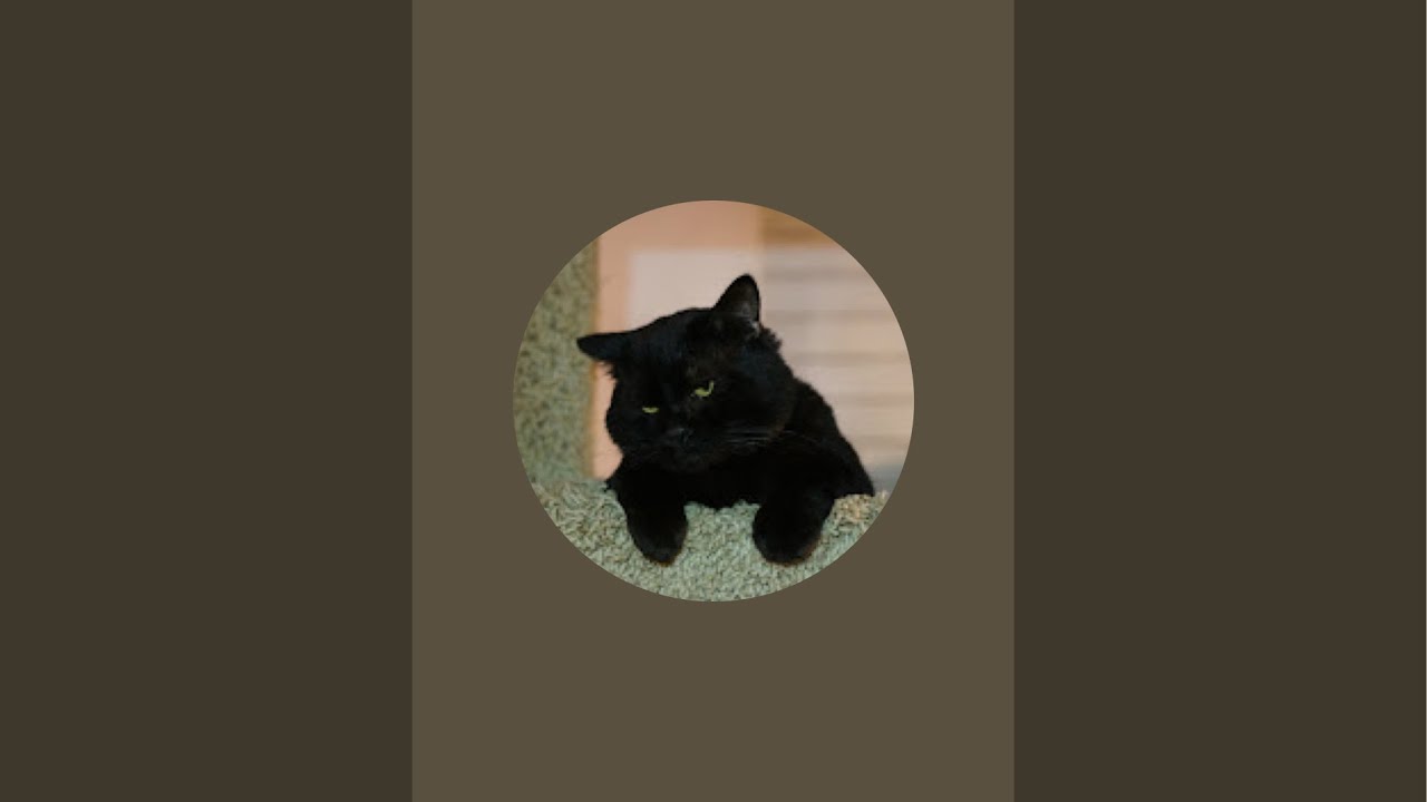 Nyapan Catrescue がライブ配信中！