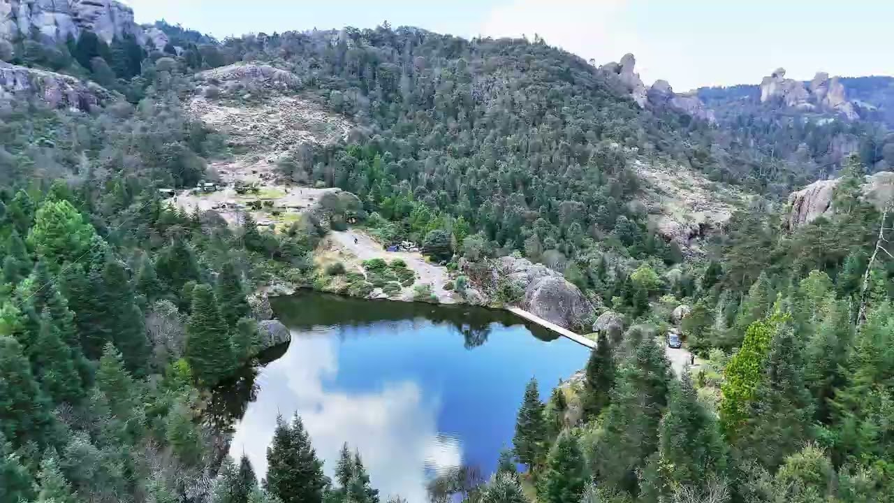 Volando en el bosque #landscape #drone 