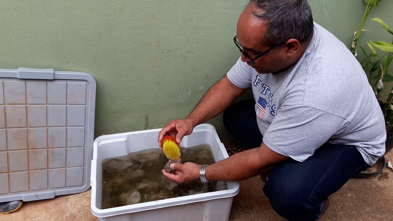 GILBERTO GIL GARIMPO ENSINANDO LIMPAR COLEÇOES COM  ACIDO OXALIDO