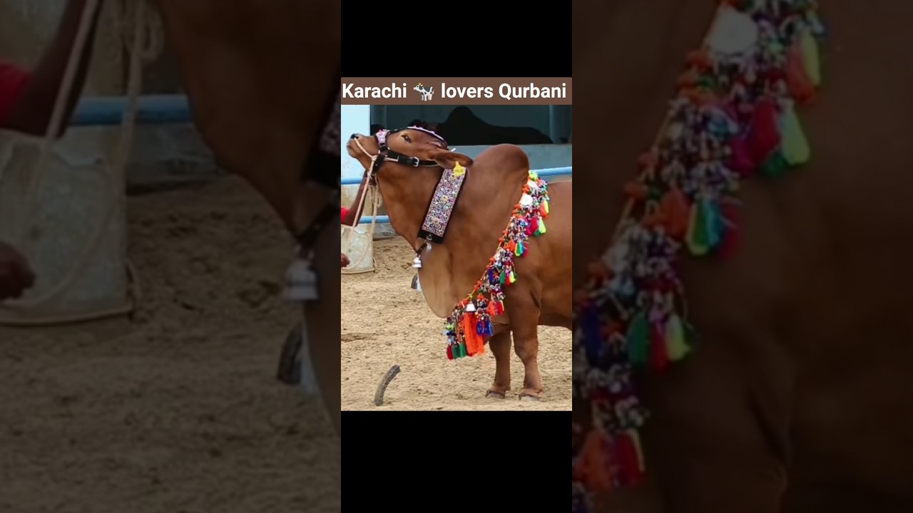 karachi 