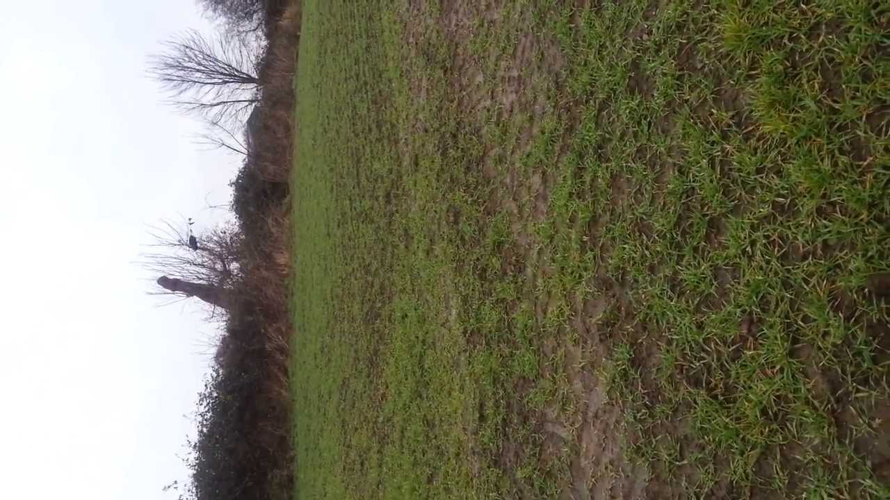First Outdoor RC Helicopter Flight ( M-Tech Virtually Indestructible R/C Helicopter )