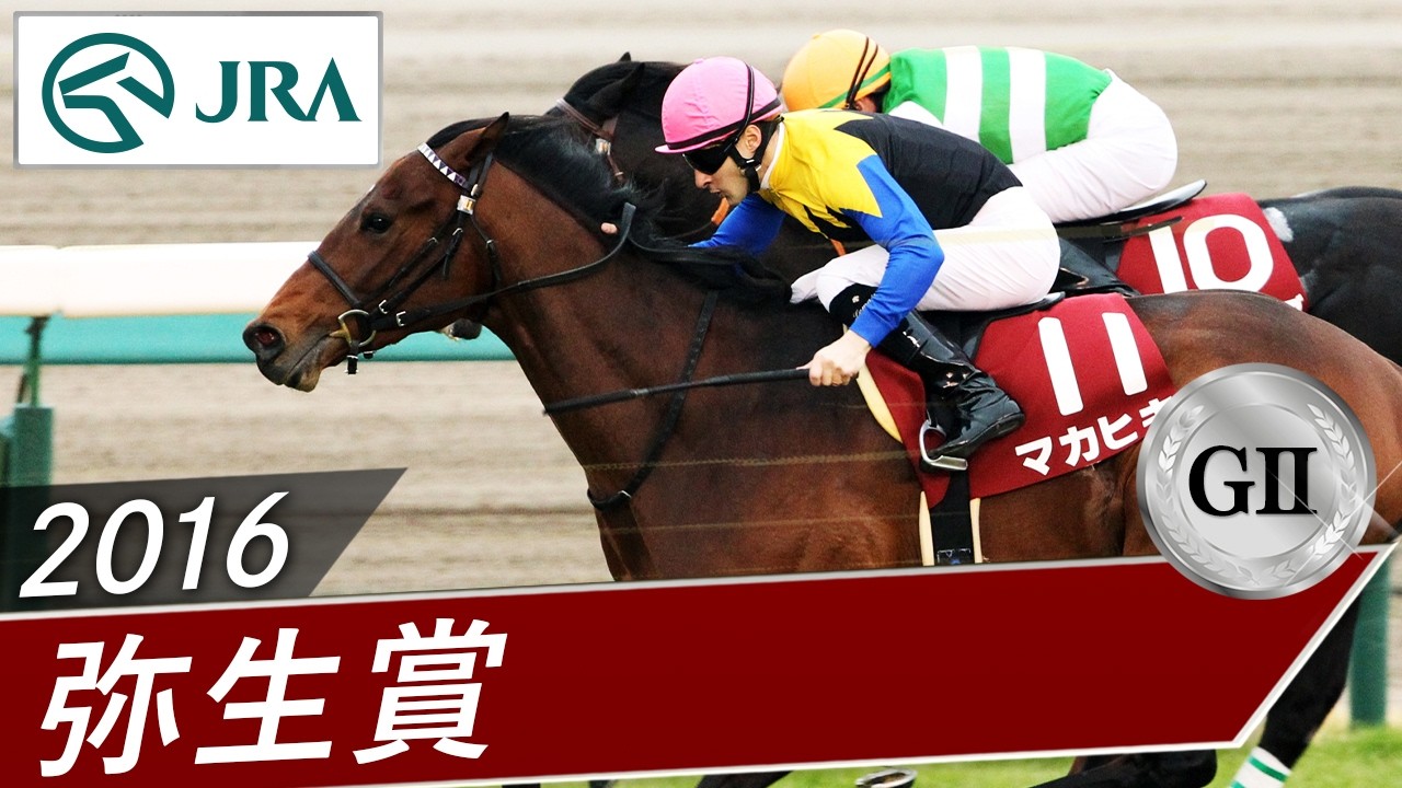 2016 Yayoi Sho (GII) | Makahiki | JRA Official
