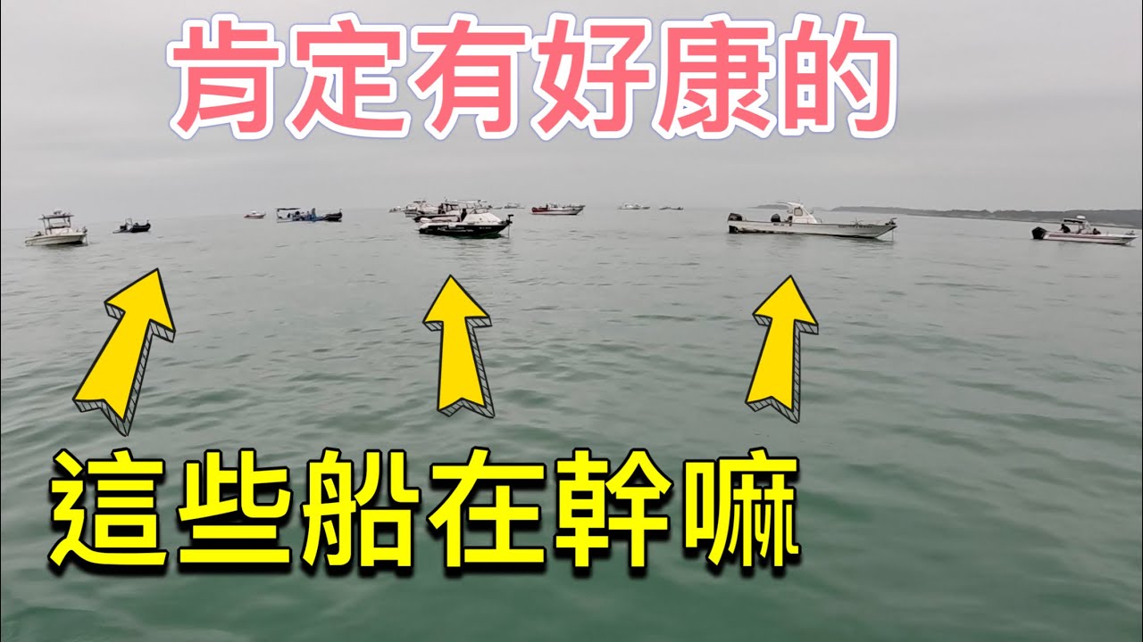 好奇這些船聚在這裡做啥？船長說沒白金就找黃金！#赫馬士 #金門 #午魚