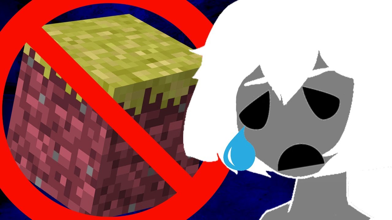 racist doesn't get invited into the smp. *ᴋʀᴏᴛʜᴇʀ*