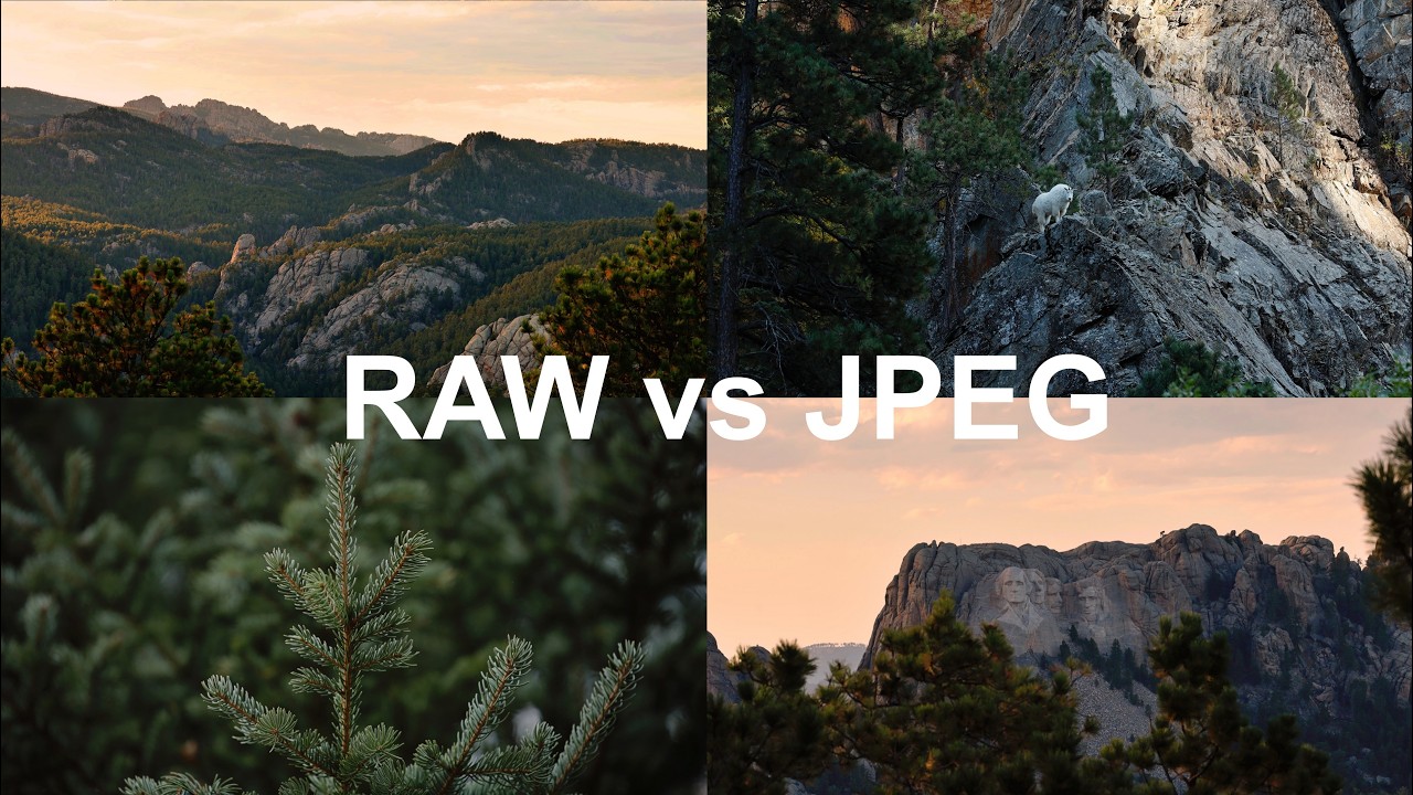 Стоит ли снимать в формате RAW или JPEG?