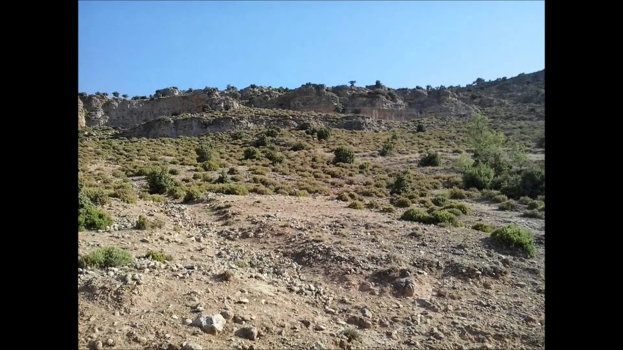 rchida