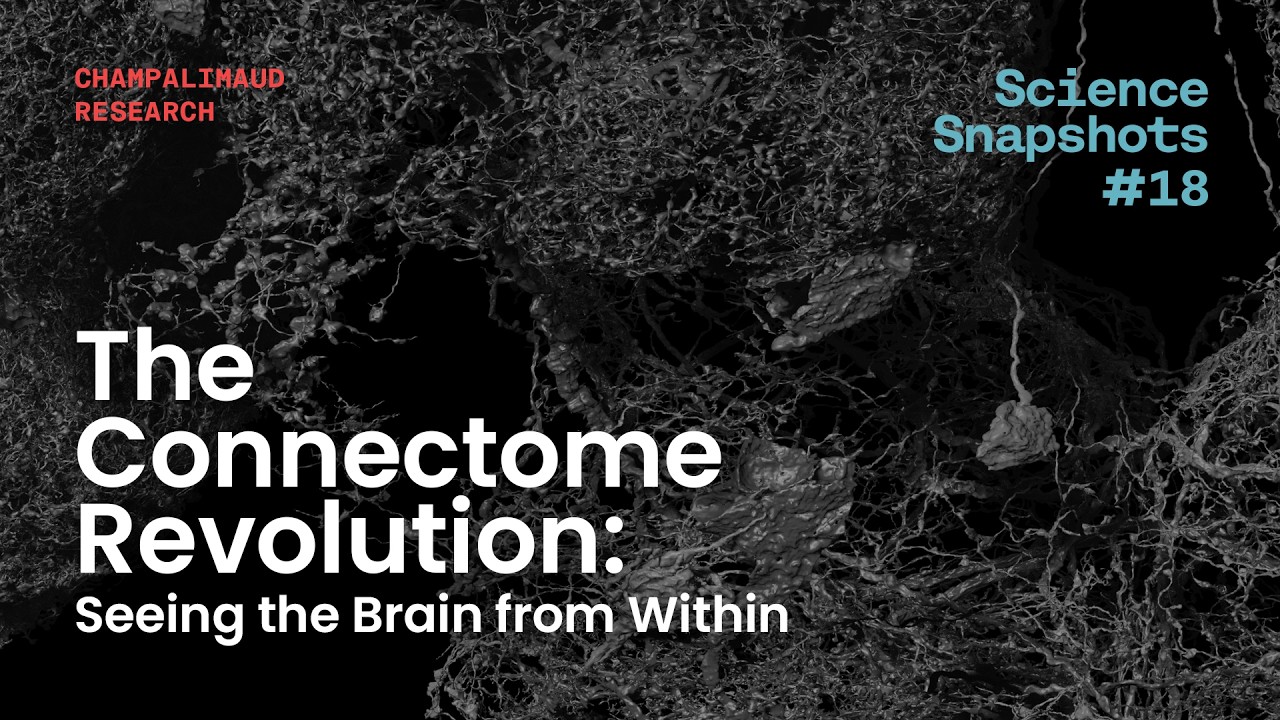 Science Snapshot: The Connectome Revolution &ndash; Seeing the Brain from Within