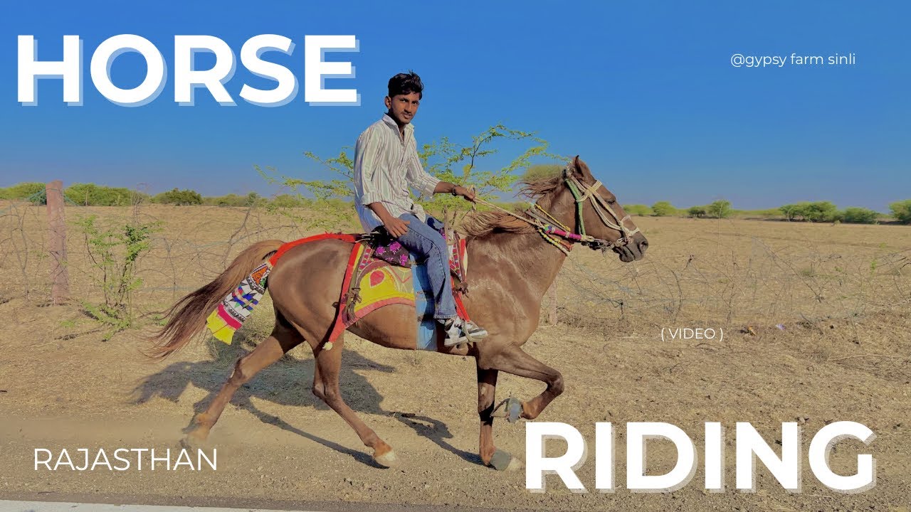Ghodi or Bache ko aaj pasine aaye 😮 || aaj fir gaye mele 🐪 || gypsy farm sinli 🐴❤️ 