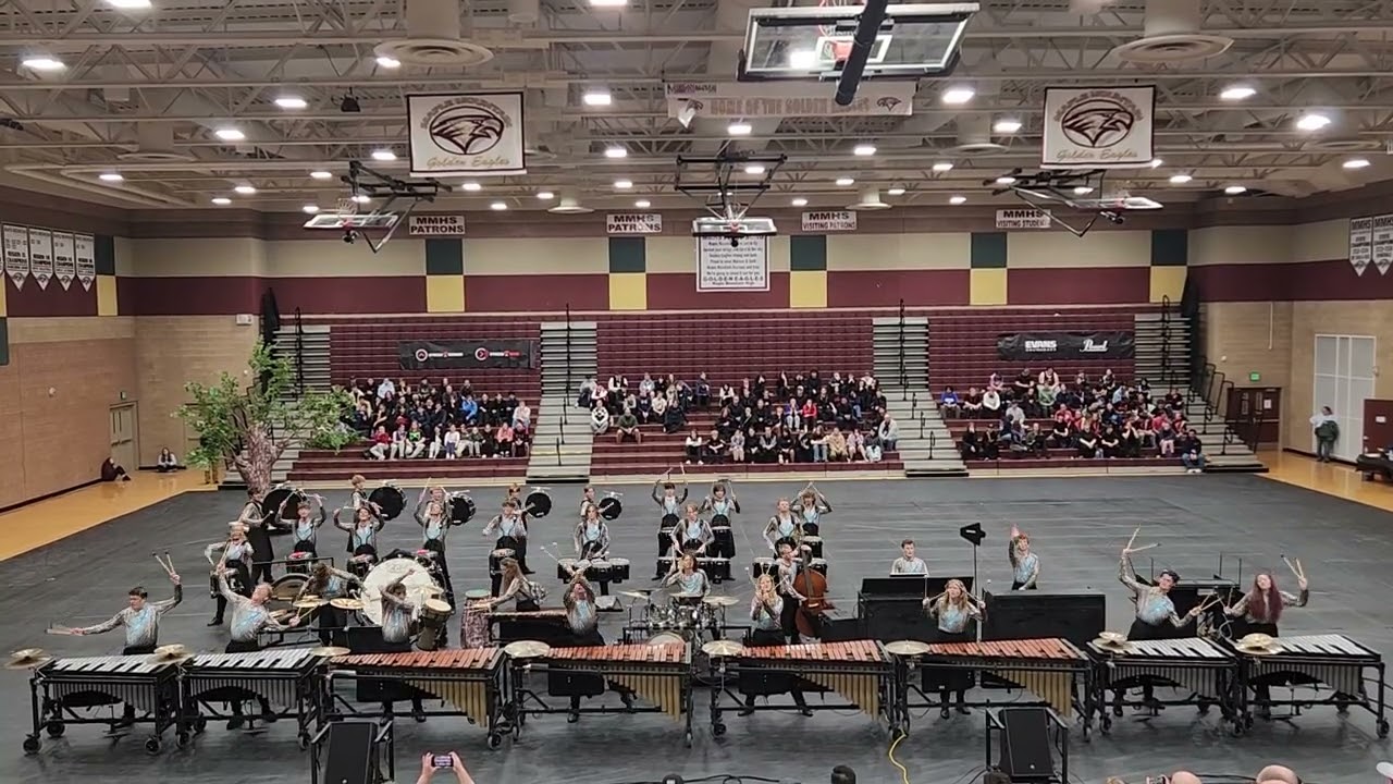 UNDER HER CANOPY performed by Davis High Indoor Percussion