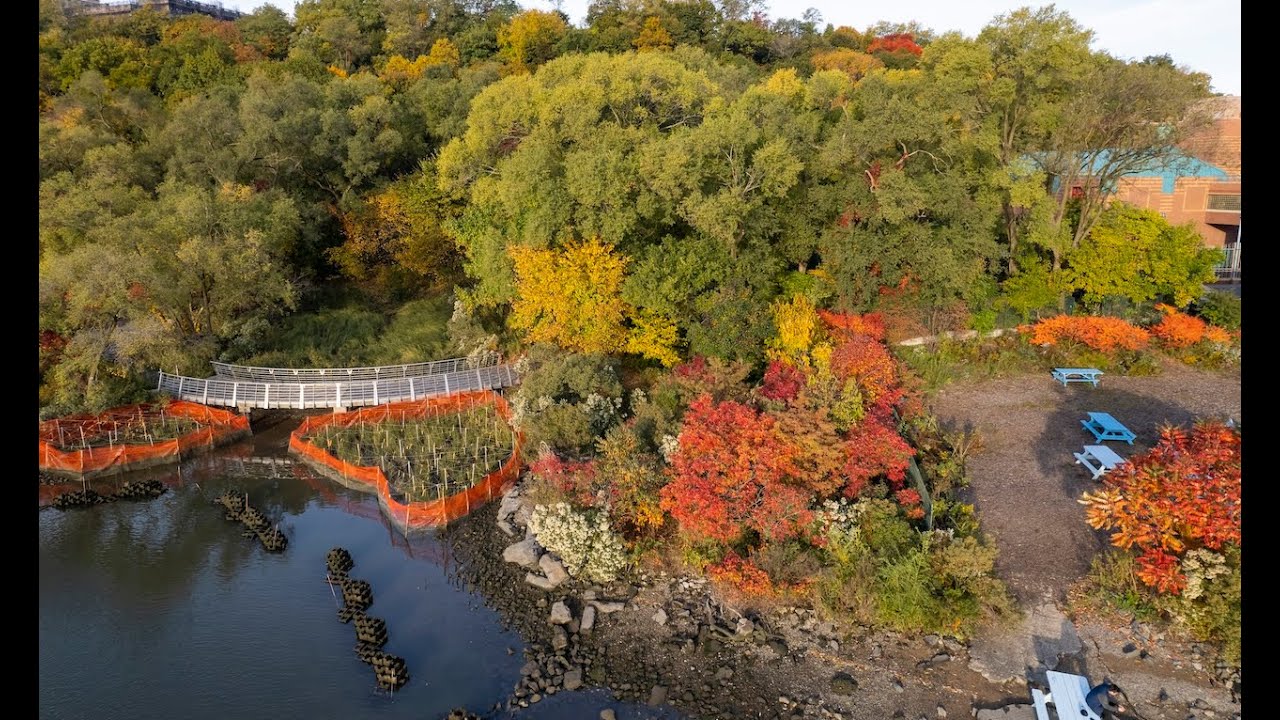 Expanding New York Restoration Project's Living Shoreline