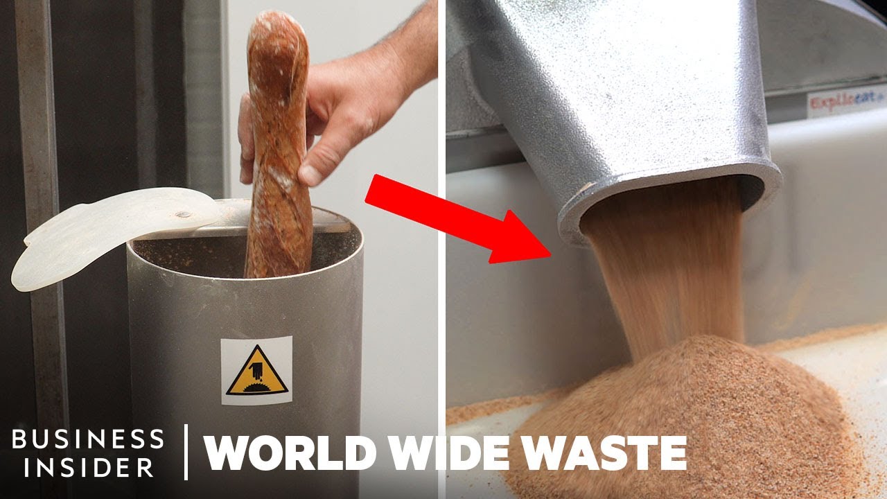 Flour Made From Leftover Bread Could Help Reduce Waste | World Wide Waste
