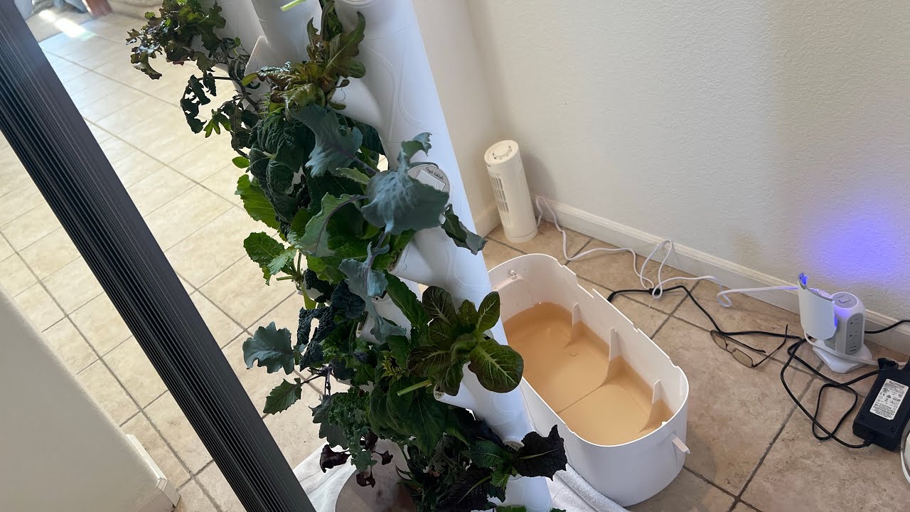 Kelby Says ‘Refresh Your Tank’: Step-by-Step Guide to Cleaning and Refilling Your Gardyn Tank