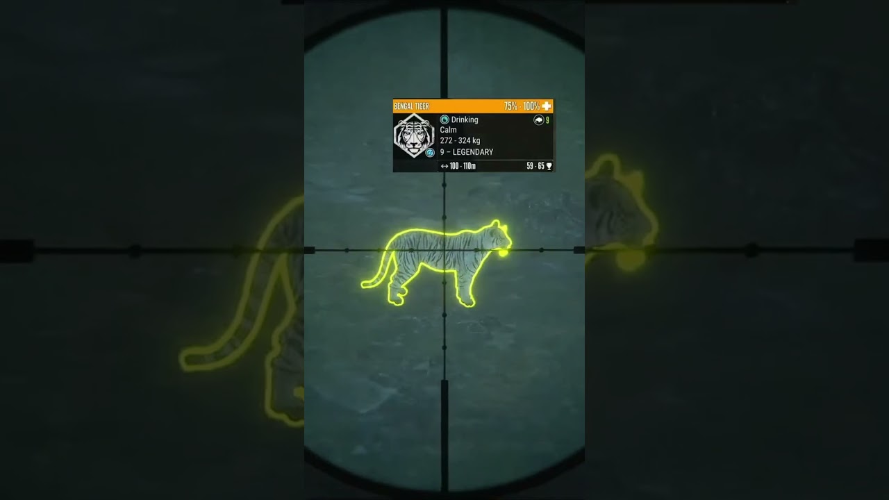 СУПЕР РЕДКИЙ ТИГР С МАКСИМАЛЬНЫМ ОЧКОМ! #thehuntercallofthewild #cotw #sundarpatan #callofthewild...