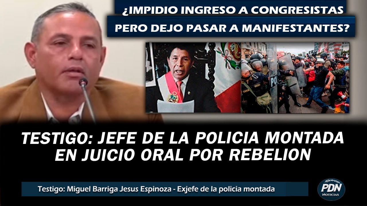 TESTIGO: JEFE DE POLICIA MONTADA sobre MANIFESTANTES y CONGRESISTAS en JUICIO ORAL CASTILLO REBELOIN