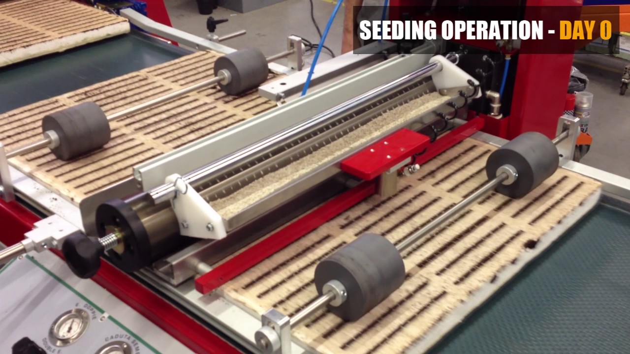 Hydronov Baby Leafs Production System