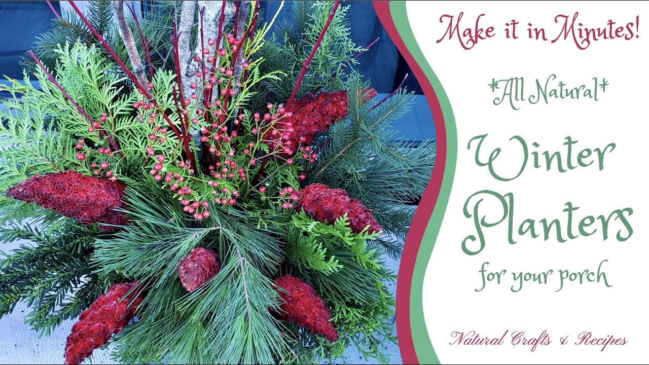 DIY Winter Planters / DIY Christmas Patio Arrangements ~ Easy & Cost-Free.  Make it in Minutes!