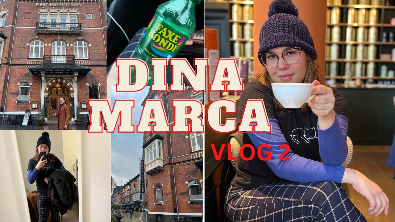 Conhecendo a cidade de Odin - DINAMARCA VLOG 2