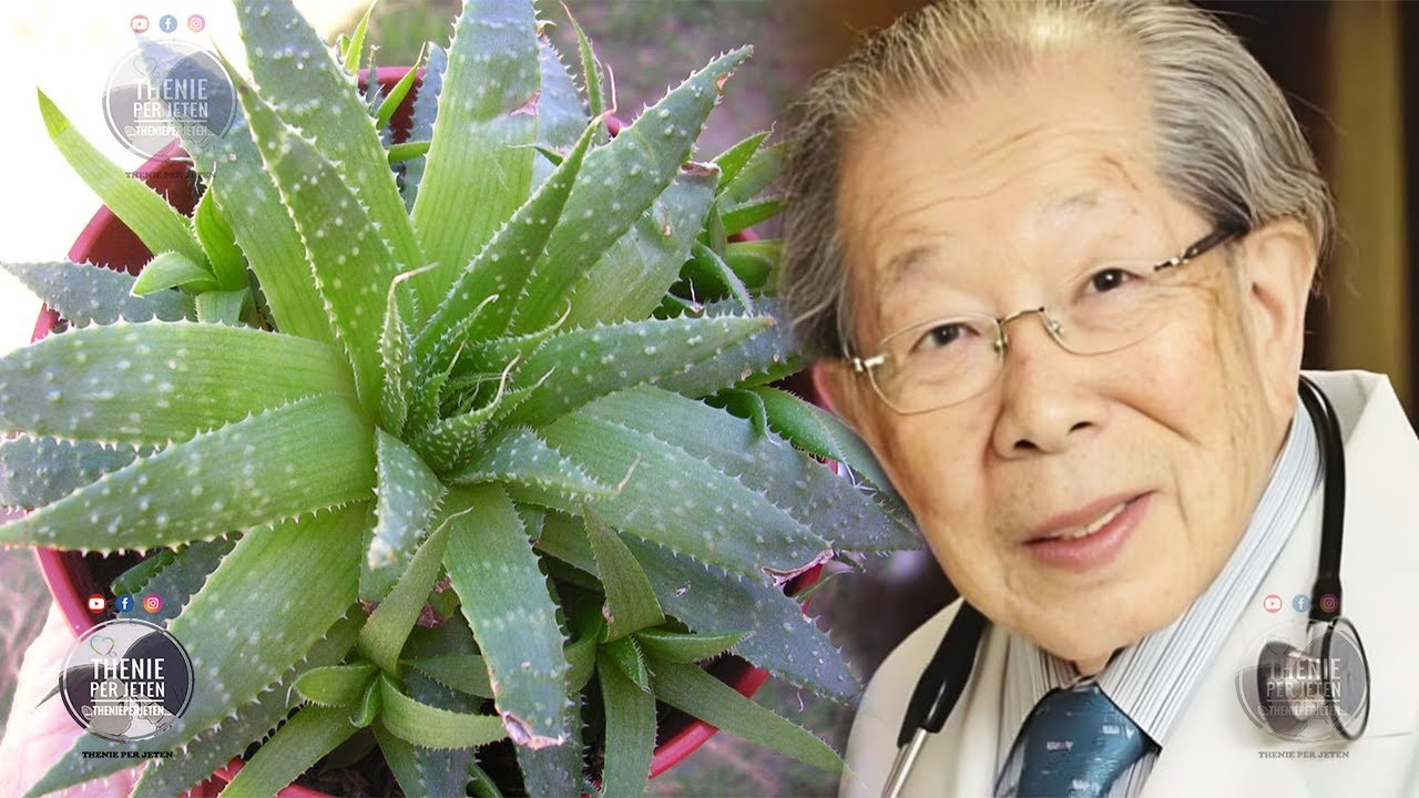 Merrni xhel Aloe Vera dhe përdoreni në këtë mënyrë, do të ngeleni pa fjalë nga rezultati