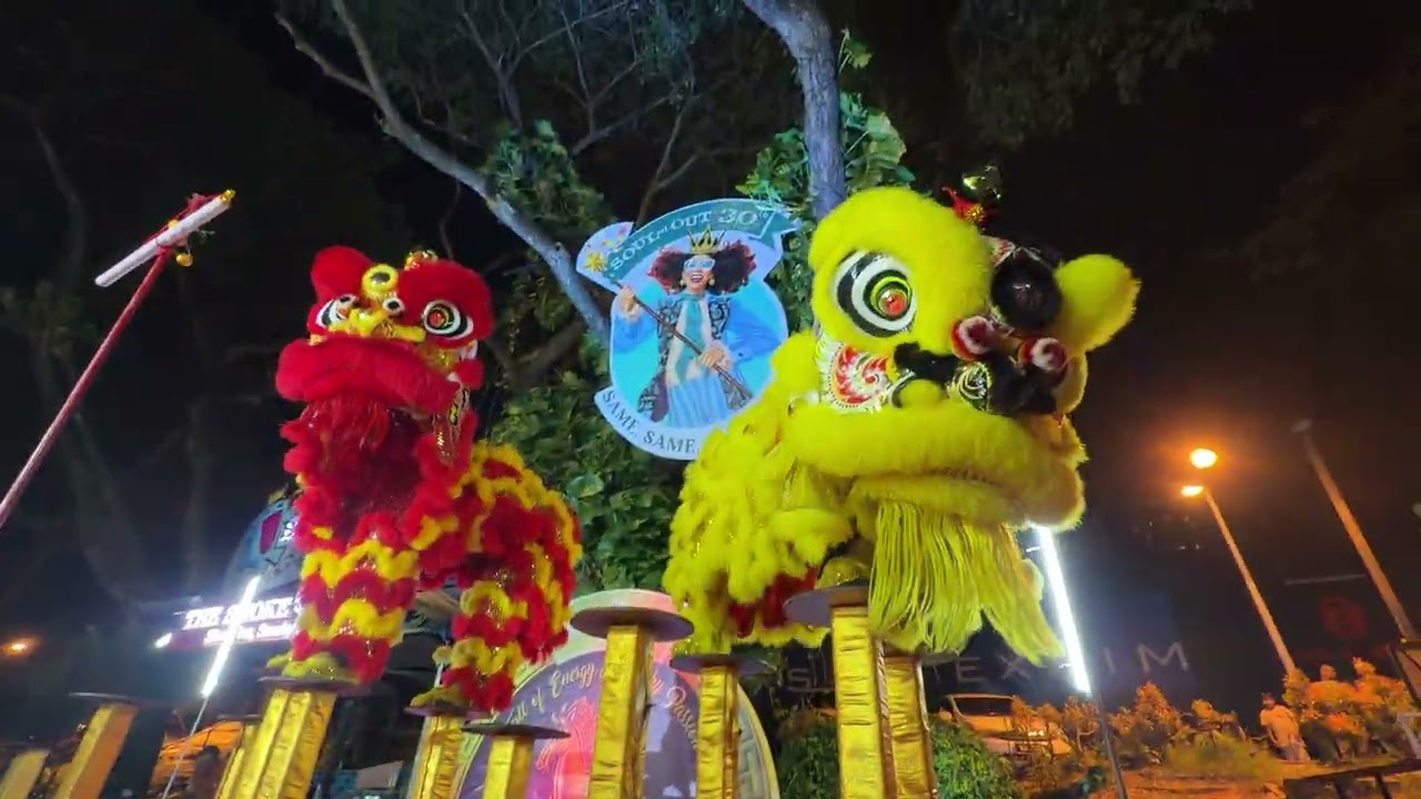 蔡李佛南胜体育会 #souledout #chinesenewyear #liondance #初十三 #双狮高桩表演 