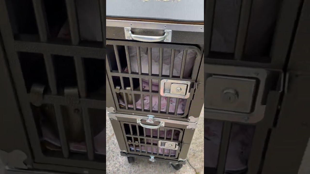 Best in Show Trolleys Crate Review