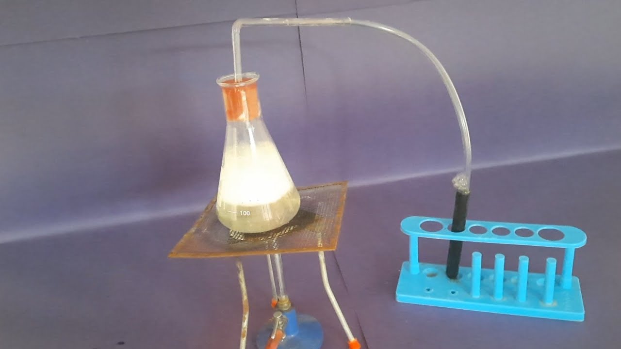 10th Science, Activity 2.4