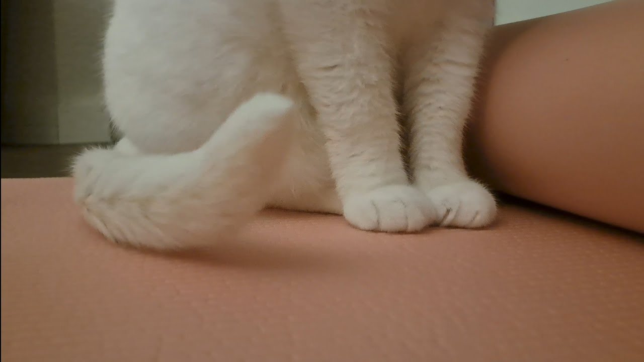 On the mat with Yogakin (warning: terrible ASMR)
