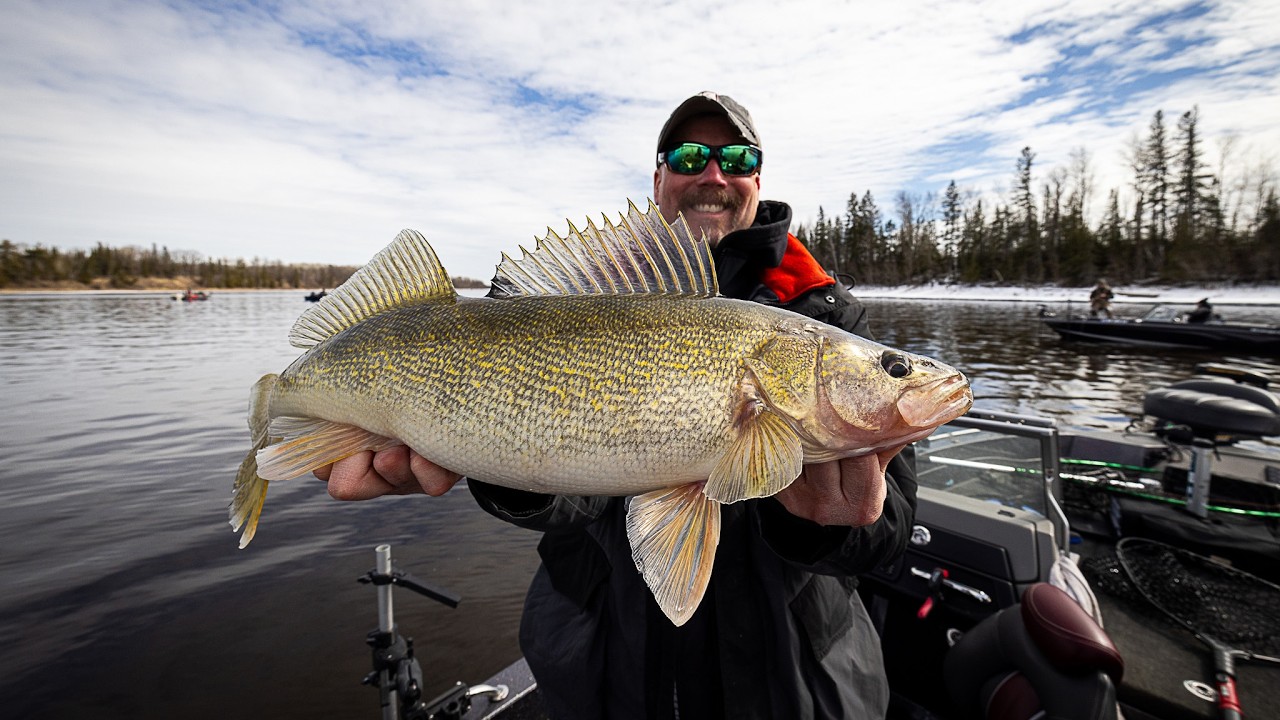 Fishing for BIG Spring Walleyes | SJR500 Fishing Tournament