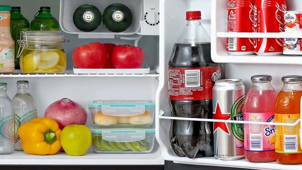 Best mini fridge 2023