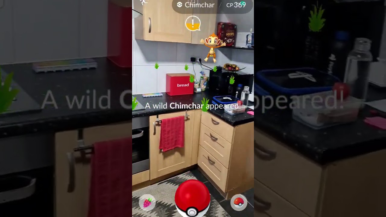 Pokemon Go - catching Chimchar