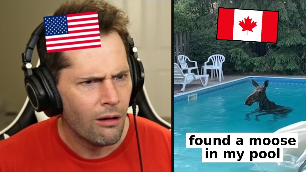 American Reacts to Canadian TikToks | #35
