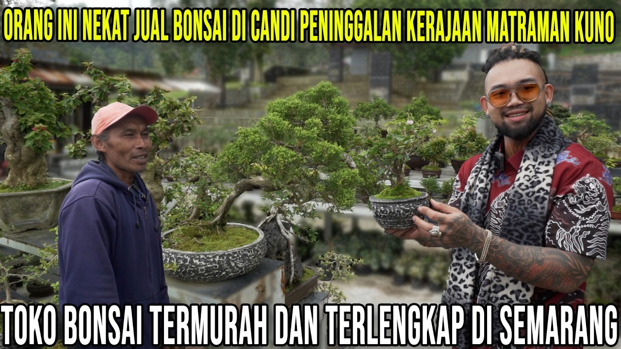 ORANG INI NEKAT JUAL BONSAI DI CANDI KERAJAAN MATRAMAN KUNO #AudreyA #KINGOFTHEJUNGLE