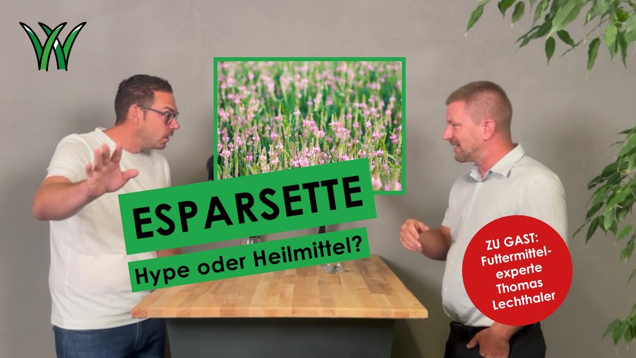 Esparsette für Pferde: Wundermittel oder Wellness-Wahn?