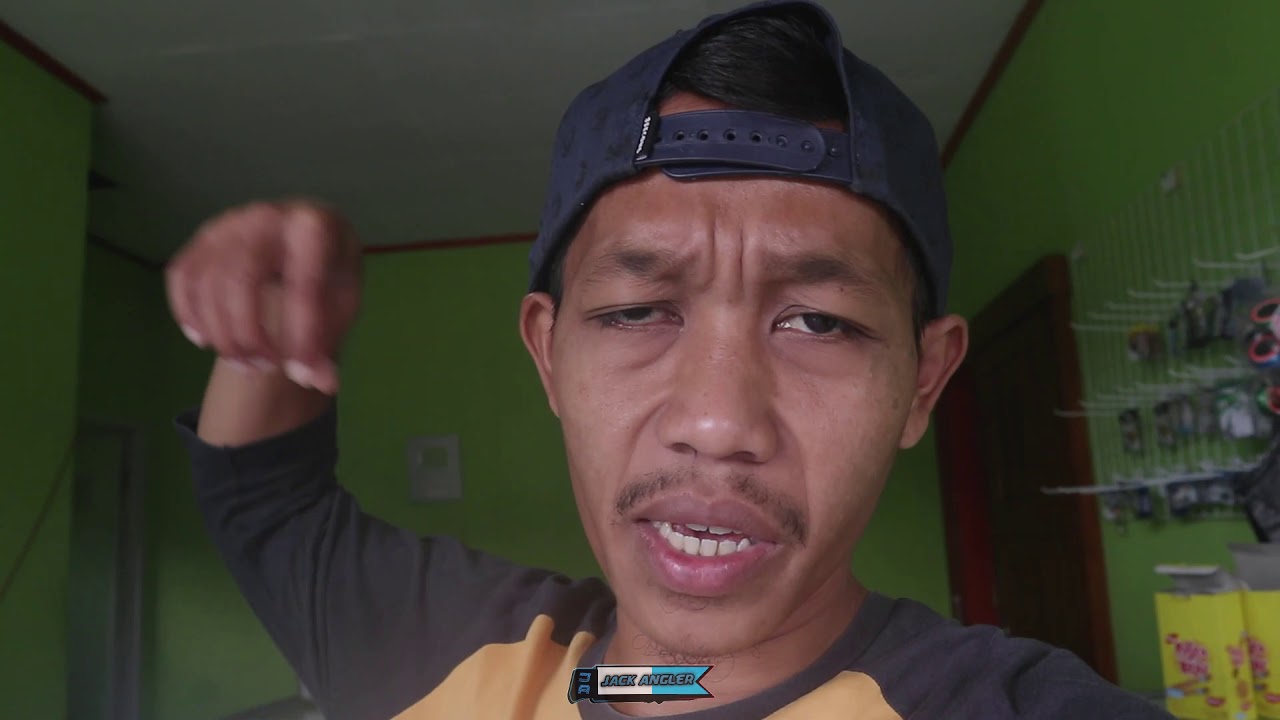 Riview Kinoy yang Layak buat ikan Mas Harian