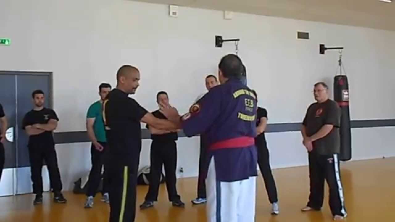Quelques bases de Kyusho-Jitsu par Jean-Paul BINDEL, Hanshi