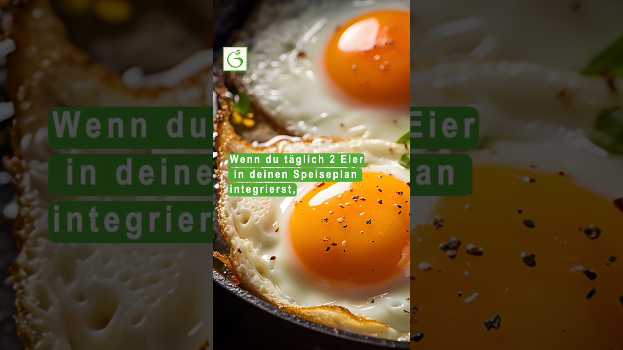 T&auml;glich 2 Eier essen - Das passiert!😱🍳 #shortsvideo #shorts #viral