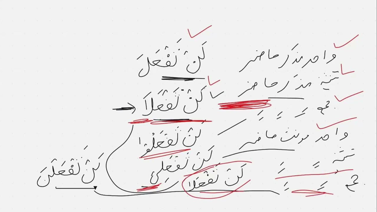 گردان نفی  تاکید بہ لن صیغے حاضر