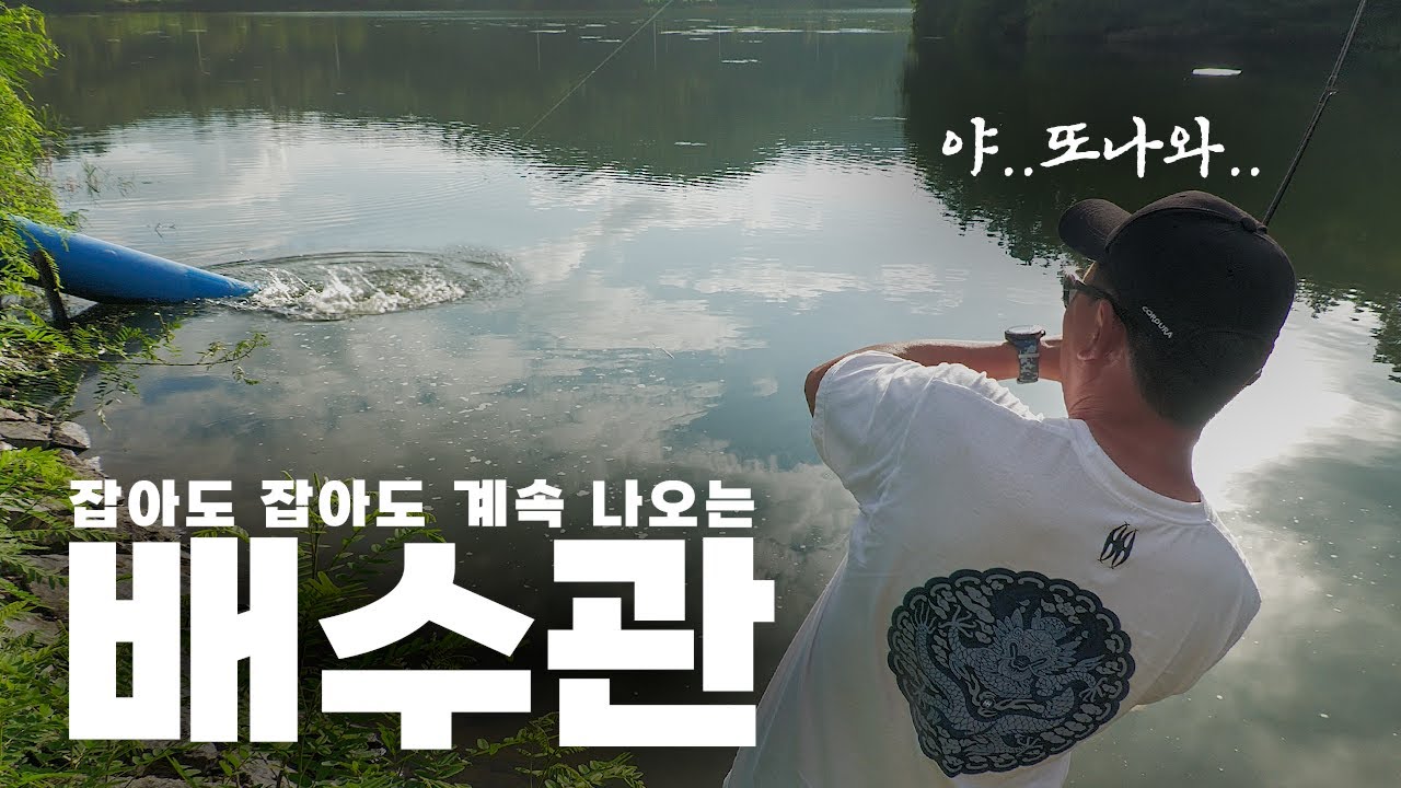 배스가 계속 나오는 배수관 