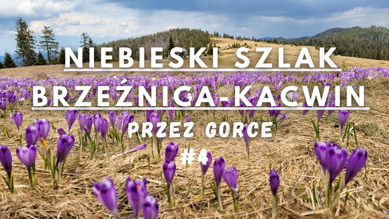 Szlak 🔵 Brzeźnica - Kacwin #4: Gorce