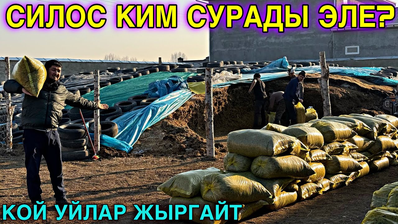 СИЛОС ЖАҢЫ АЧЫЛДЫ УЙ КОЙГО БЕРСЕ БОЛОТ!! 💪🏻#байтв 