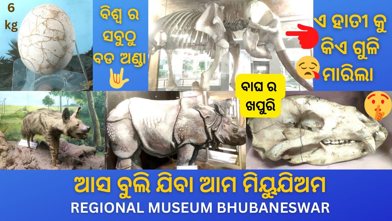 Regional Museum / Bhubaneswar Museum /Odisha State Museum